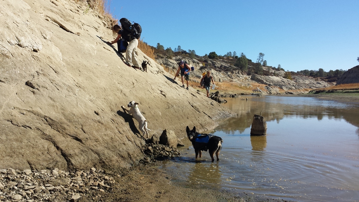 Murphy-Anne-Blue-Heeler-Dog-Backpacking