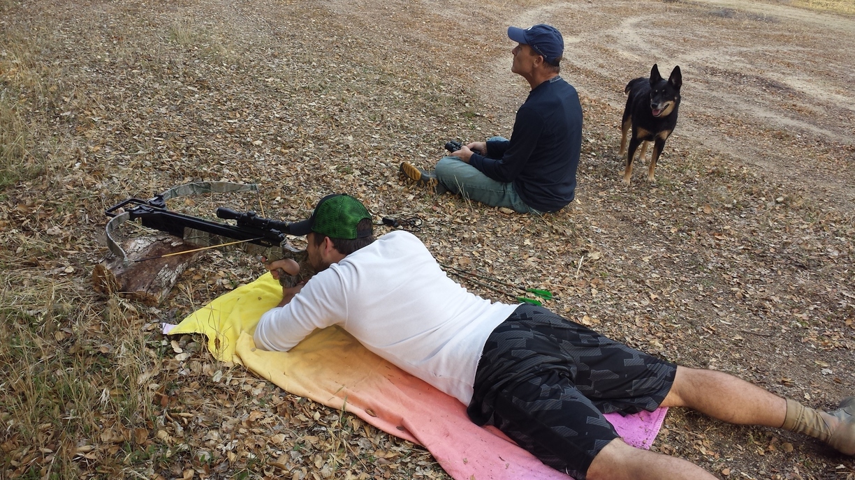 Murphy-Anne-Blue-Heeler-Dog-Crossbow-Hunting