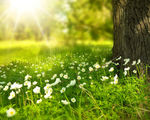 Seasons seem to be shifting researchers project spring to come 3 weeks earlier than usual