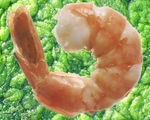 We could be eating plant based quasi shrimp one day to help against environmental destruction