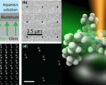 Researchers can now track individual molecules in 3d with incredible nanoscale precision