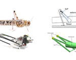 3d printed robot insect can jump over 3 meters high 11 feet could help future search and rescue missions
