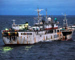 Boats unique automatic identifier combat illegal fishing