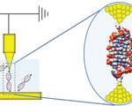 Dna diode single molecule created future nanoscale circuits