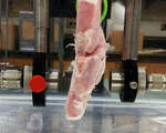 Ultrasonic research devices inside body stream hd video doctors