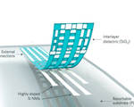 Researchers develop safe bioresorbable implantable devices melt inside body over time