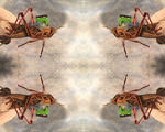 Cyborg locust insect biorobotic sensing machine homeland security