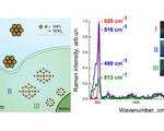 Biocompatible nanoparticles dissolve delivering drugs kill cancer cells