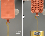 Biomimicry actuators robotics human bicep