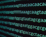 New crispr tool has potential to correct most disease causing dna glitches