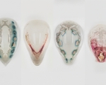 3d printing objects that can incorporate living organisms system controls the behavior of live bacteria could enable medical devices with therapeutic agents built in