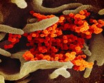 Coronavirus outbreak covid 19