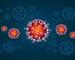 Corona 4901878 1280 covid 19 virus
